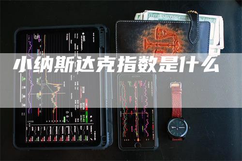 小纳斯达克指数是什么