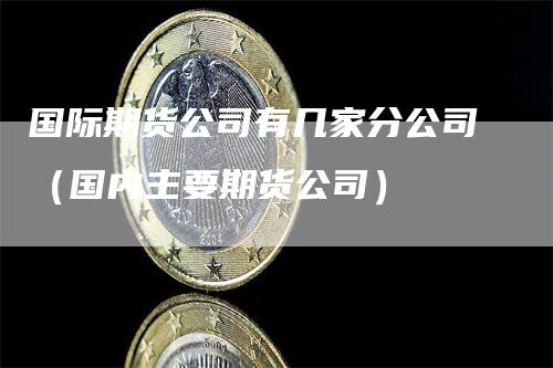 国际期货公司有几家分公司（国内主要期货公司）