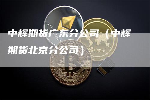 中辉期货广东分公司（中辉期货北京分公司）