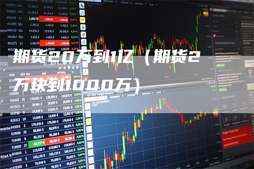 期货20万到1亿（期货2万块到1000万）