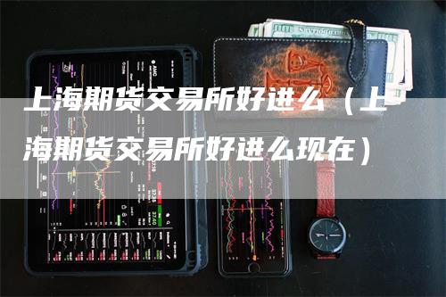 上海期货交易所好进么（上海期货交易所好进么现在）