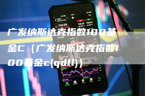 广发纳斯达克指数100基金C（广发纳斯达克指数100基金c(qdll)）