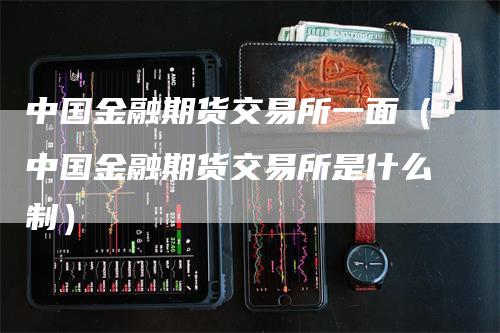 中国金融期货交易所一面（中国金融期货交易所是什么制）