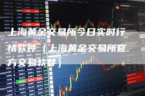 上海黄金交易所今日实时行情软件（上海黄金交易所官方交易软件）