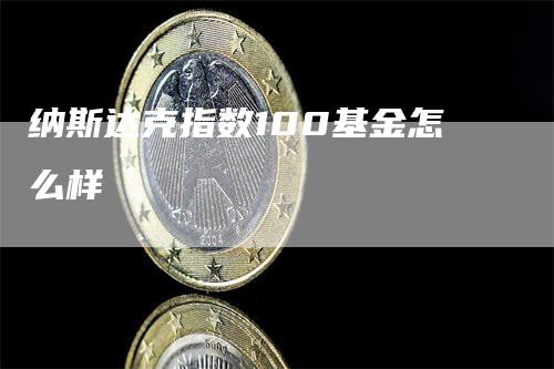 纳斯达克指数100基金怎么样