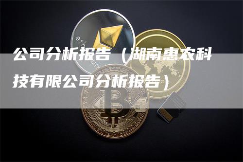 公司分析报告（湖南惠农科技有限公司分析报告）