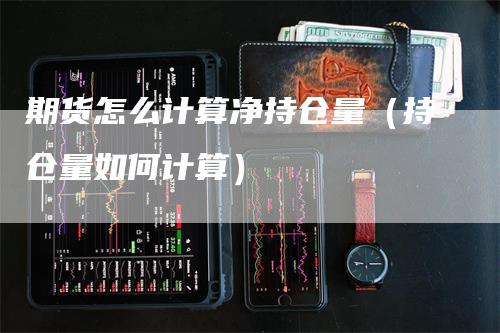 期货怎么计算净持仓量（持仓量如何计算）