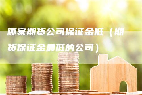 哪家期货公司保证金低（期货保证金最低的公司）