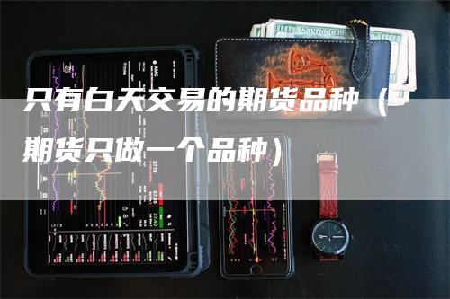 只有白天交易的期货品种（期货只做一个品种）