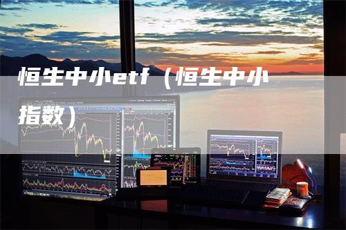 恒生中小etf（恒生中小指数）