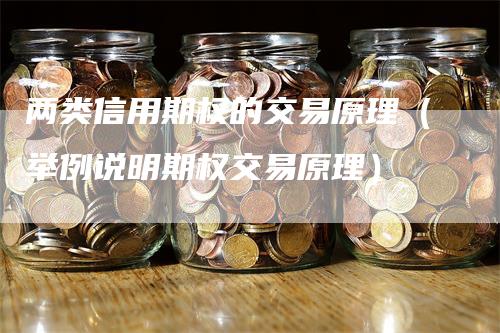 两类信用期权的交易原理（举例说明期权交易原理）