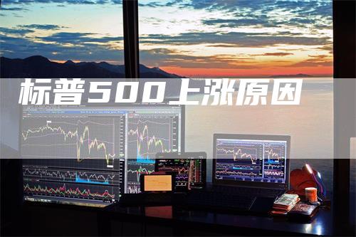 标普500上涨原因