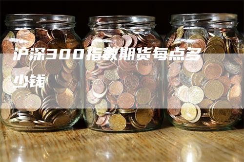 沪深300指数期货每点多少钱