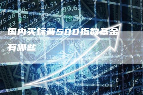 国内买标普500指数基金有哪些