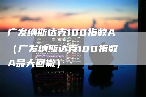 广发纳斯达克100指数A（广发纳斯达克100指数A最大回撤）