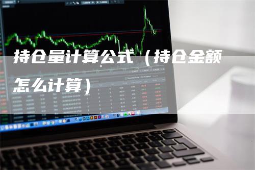 持仓量计算公式（持仓金额怎么计算）