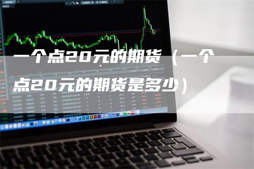 一个点20元的期货（一个点20元的期货是多少）