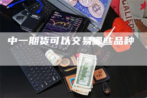 中一期货可以交易哪些品种