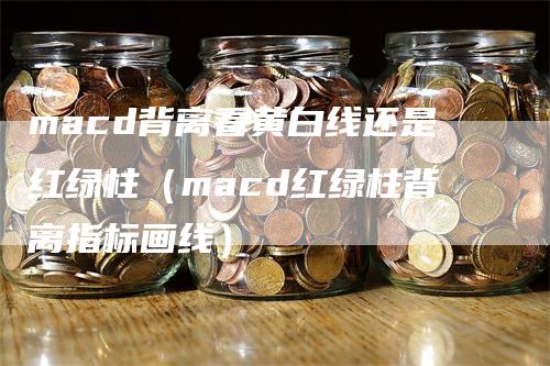 macd背离看黄白线还是红绿柱（macd红绿柱背离指标画线）