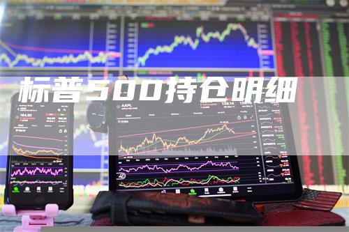 标普500持仓明细