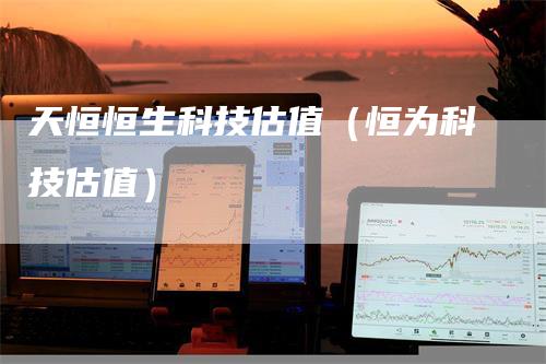 天恒恒生科技估值（恒为科技估值）