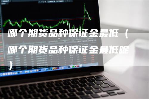 哪个期货品种保证金最低（哪个期货品种保证金最低呢）