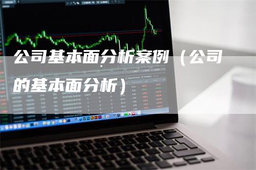 公司基本面分析案例（公司的基本面分析）