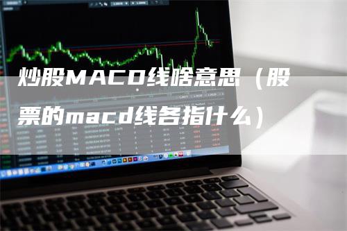 炒股MACD线啥意思（股票的macd线各指什么）