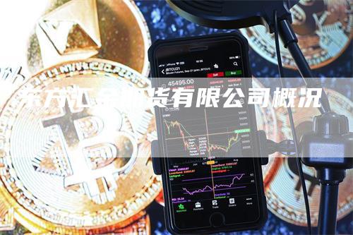 东方汇金期货有限公司概况